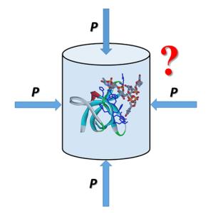 Makhatadze Lab