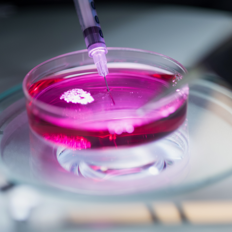 Preparation of cells in culture